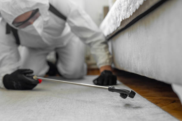 Professional Cockroach Control technician working in Mona, UT