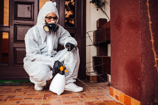 Reliable Cockroach Control contractor in Mona, UT by Nex Pest Control